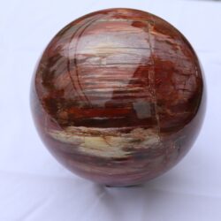 Versteinertes Holz Kugel 1