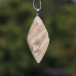 Versteinerte Koralle Jura Schweiz