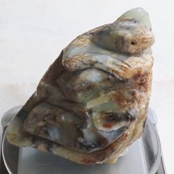 Eidechse auf Dendritenopal