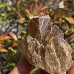 Goldrutilquarz Stufe