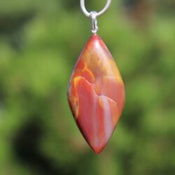 Versteinertes Holz 2