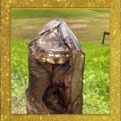 Quarzkristalle aus aller Welt